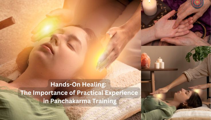 Hands-On Healing: The Importance of Practical Experience in Panchakarma Training