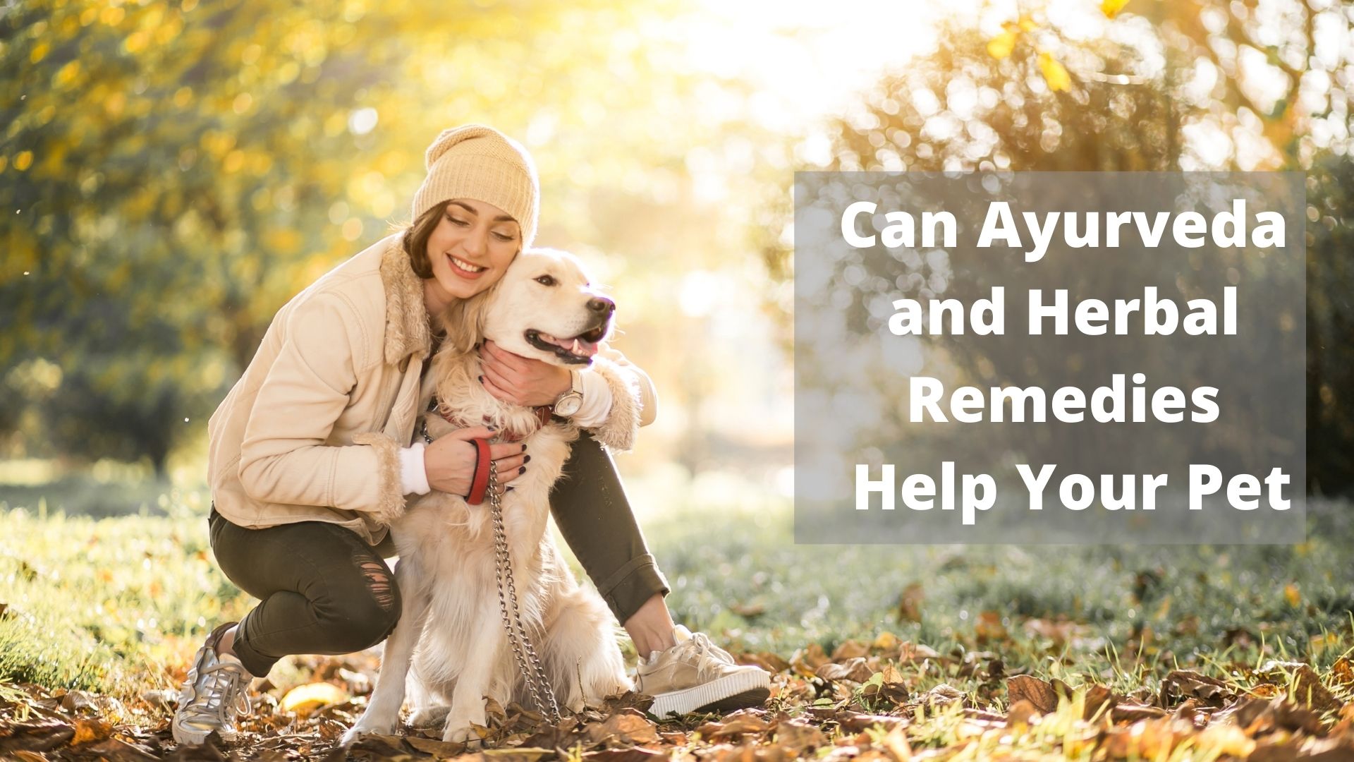 Can Ayurveda And Herbal Remedies Help Your Pet